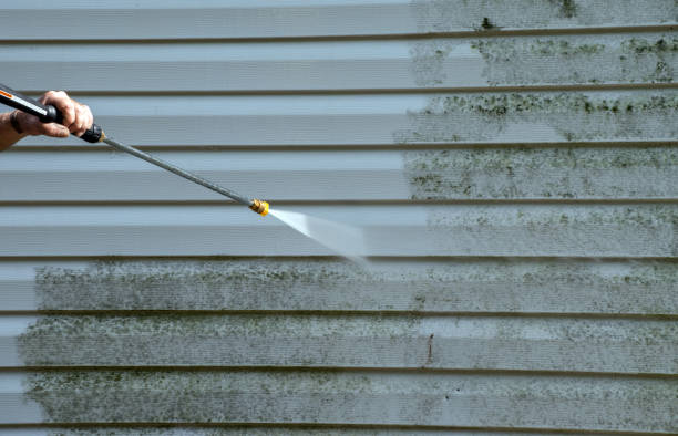 Best Driveway Cleaning and Restoration in Lonsdale, MN